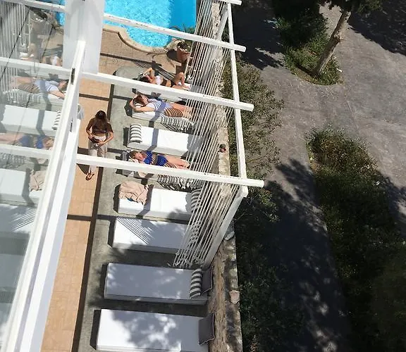 로이조스 스타일리쉬