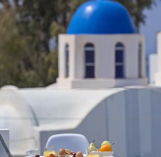 로이조스 스타일리쉬